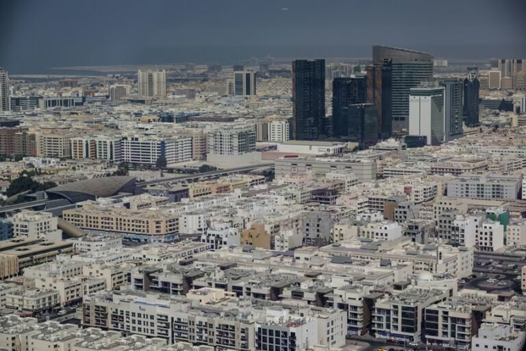 commercial overview report summary